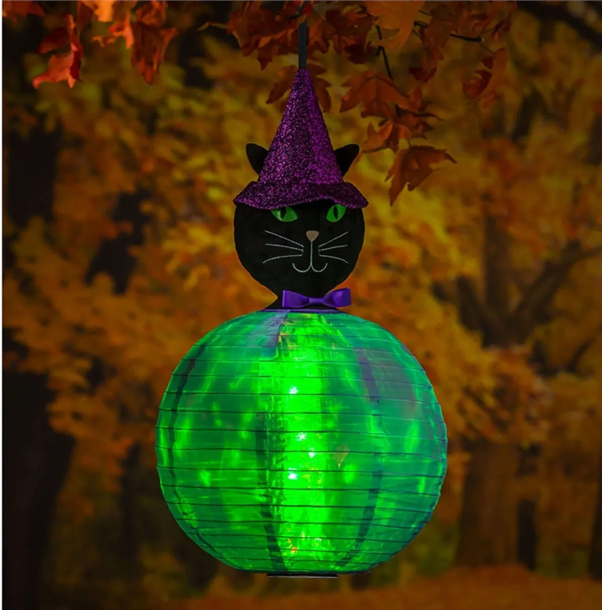 Beaming Buddies Lantern Black Cat