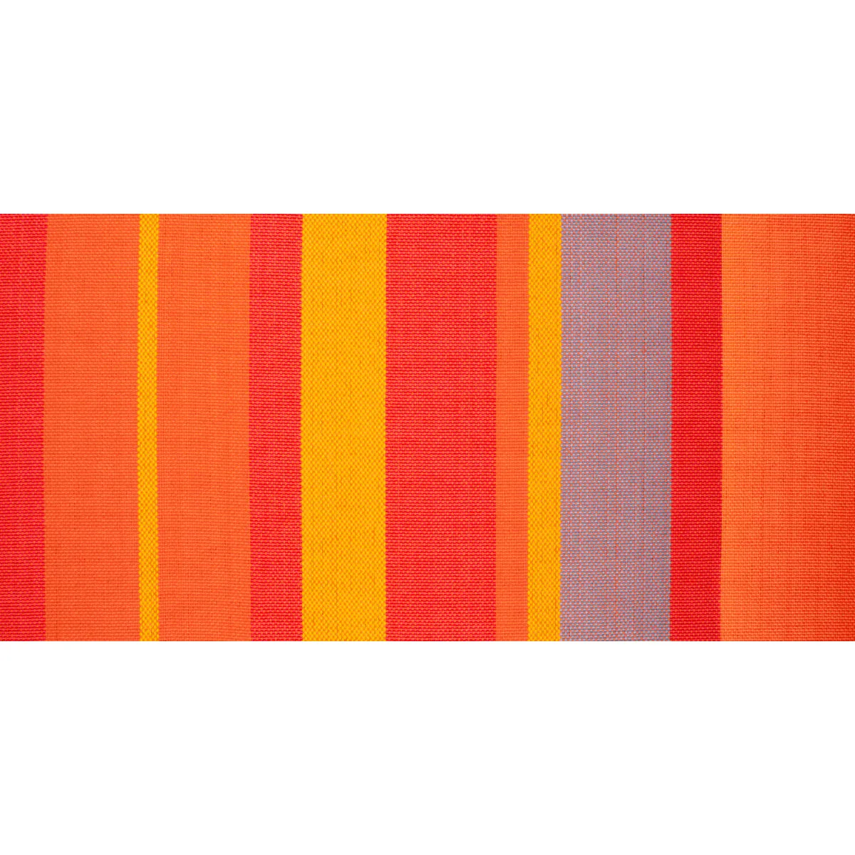 Family Hammock - Toucan