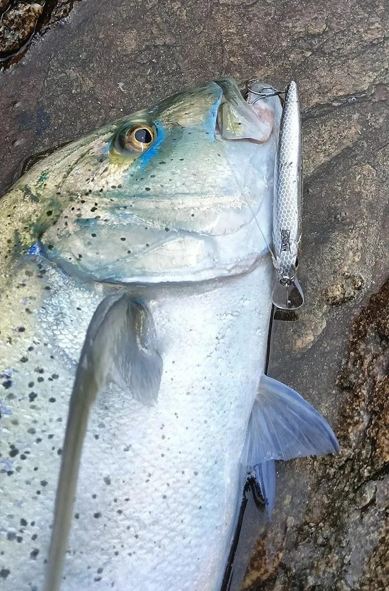 Kingdom Kingart Sinking Minnow 6g 9g 14g 18.6g