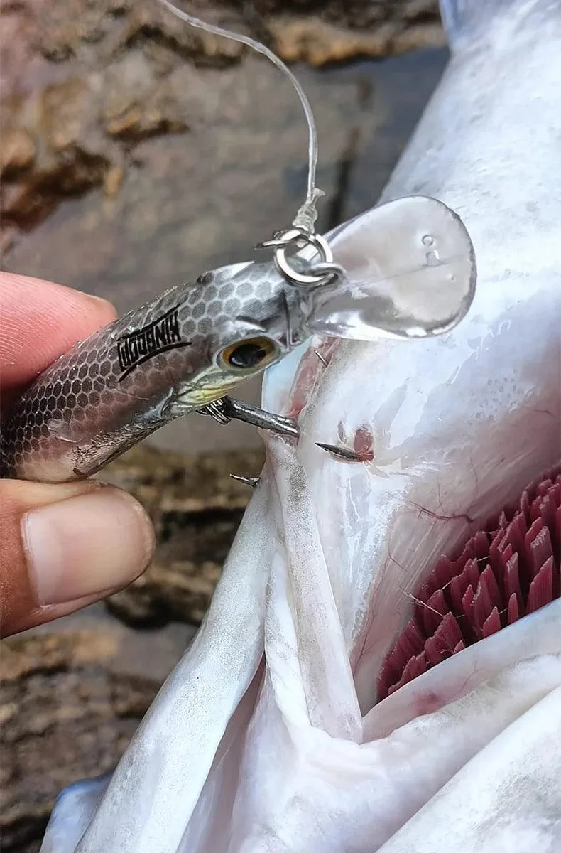 Kingdom Kingart Sinking Minnow 6g 9g 14g 18.6g