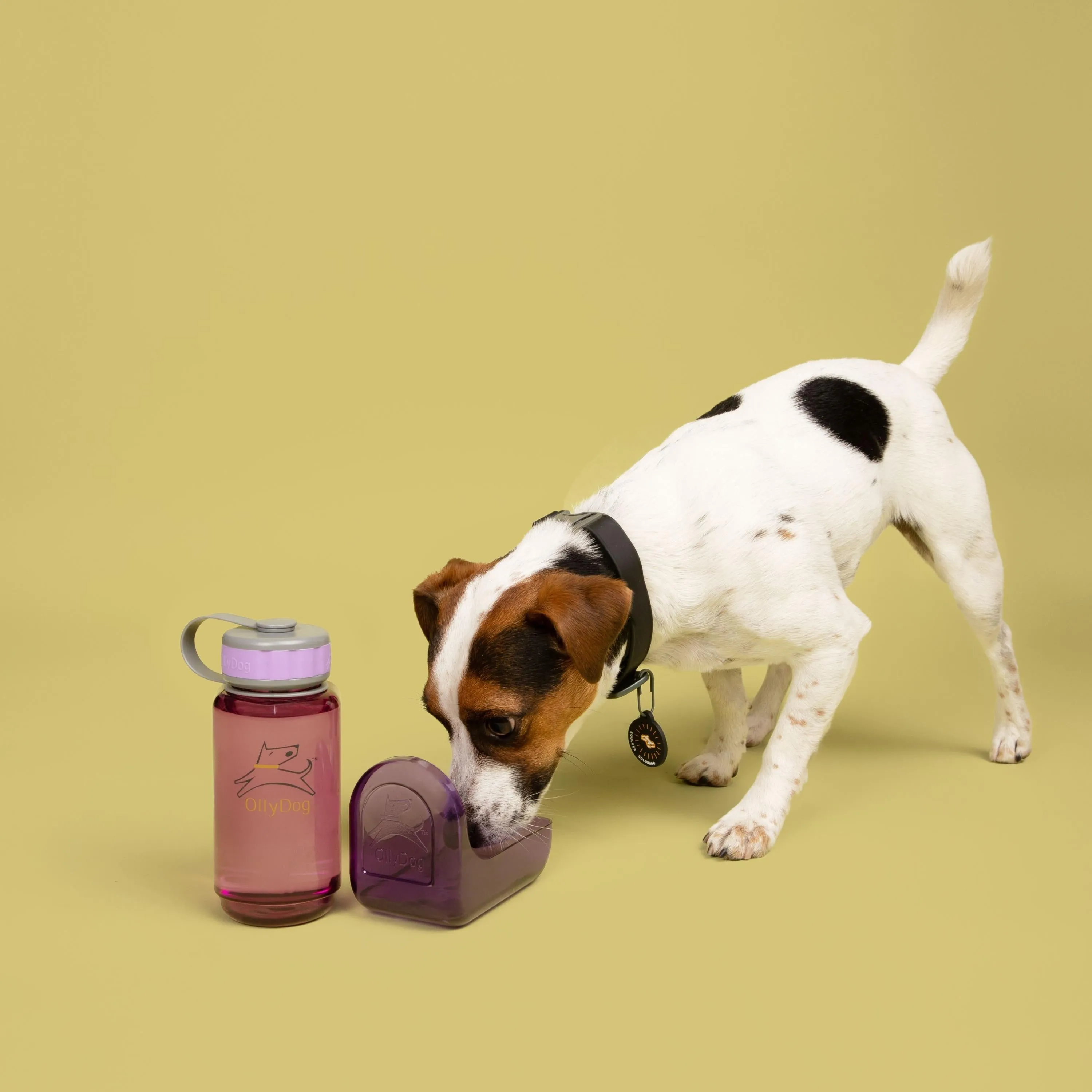 OllyBottle in Plum | Water Sharing System