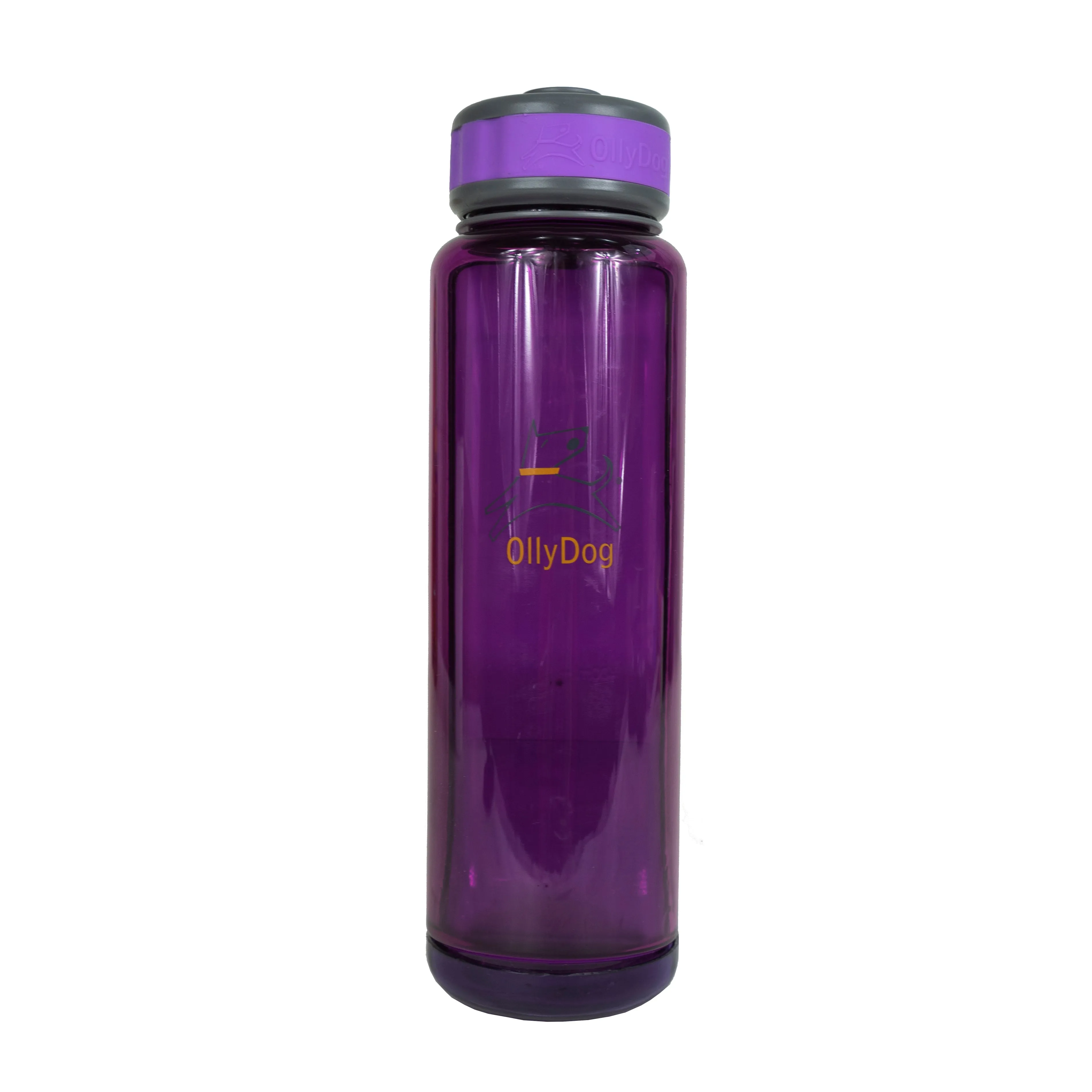 OllyBottle in Plum | Water Sharing System