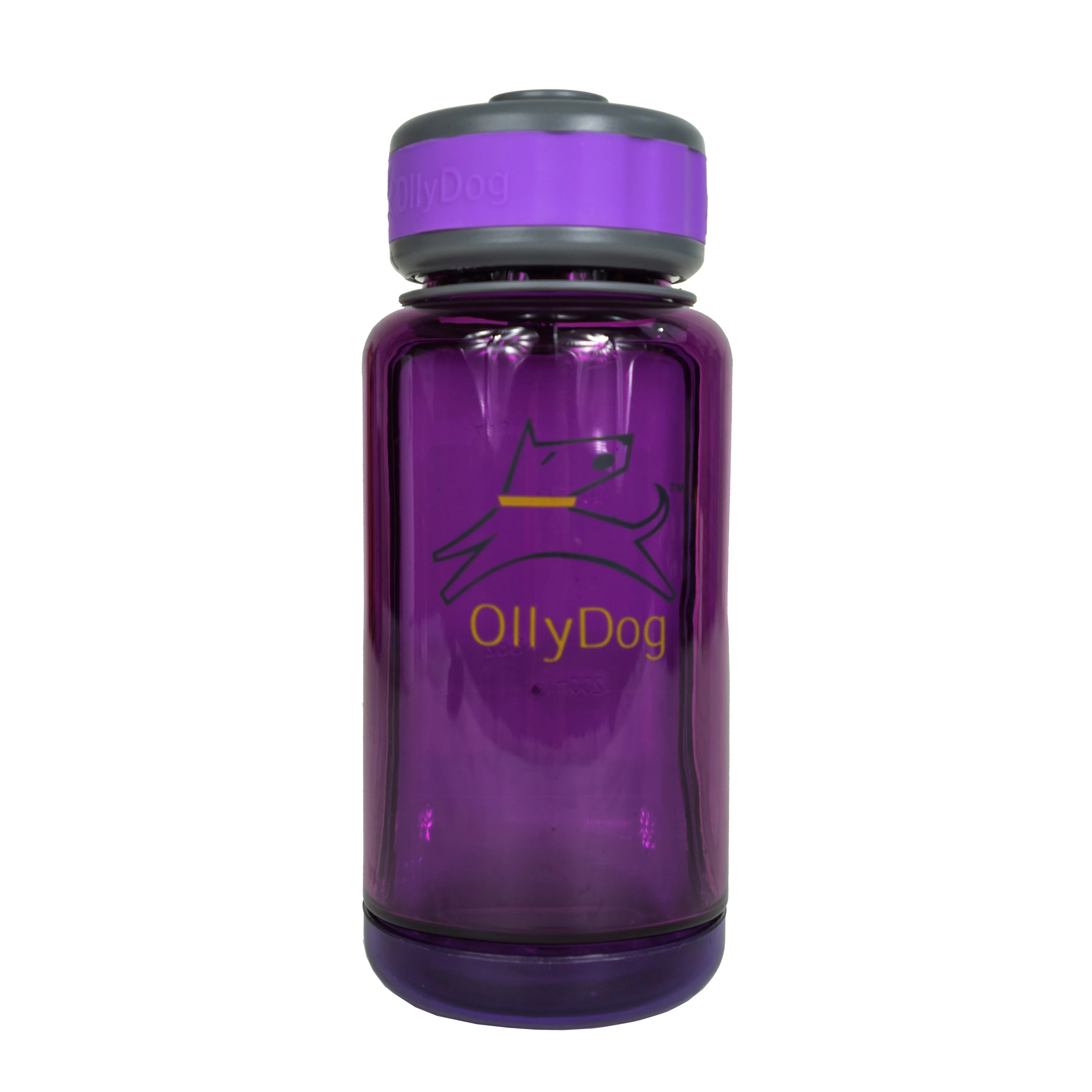 OllyBottle in Plum | Water Sharing System