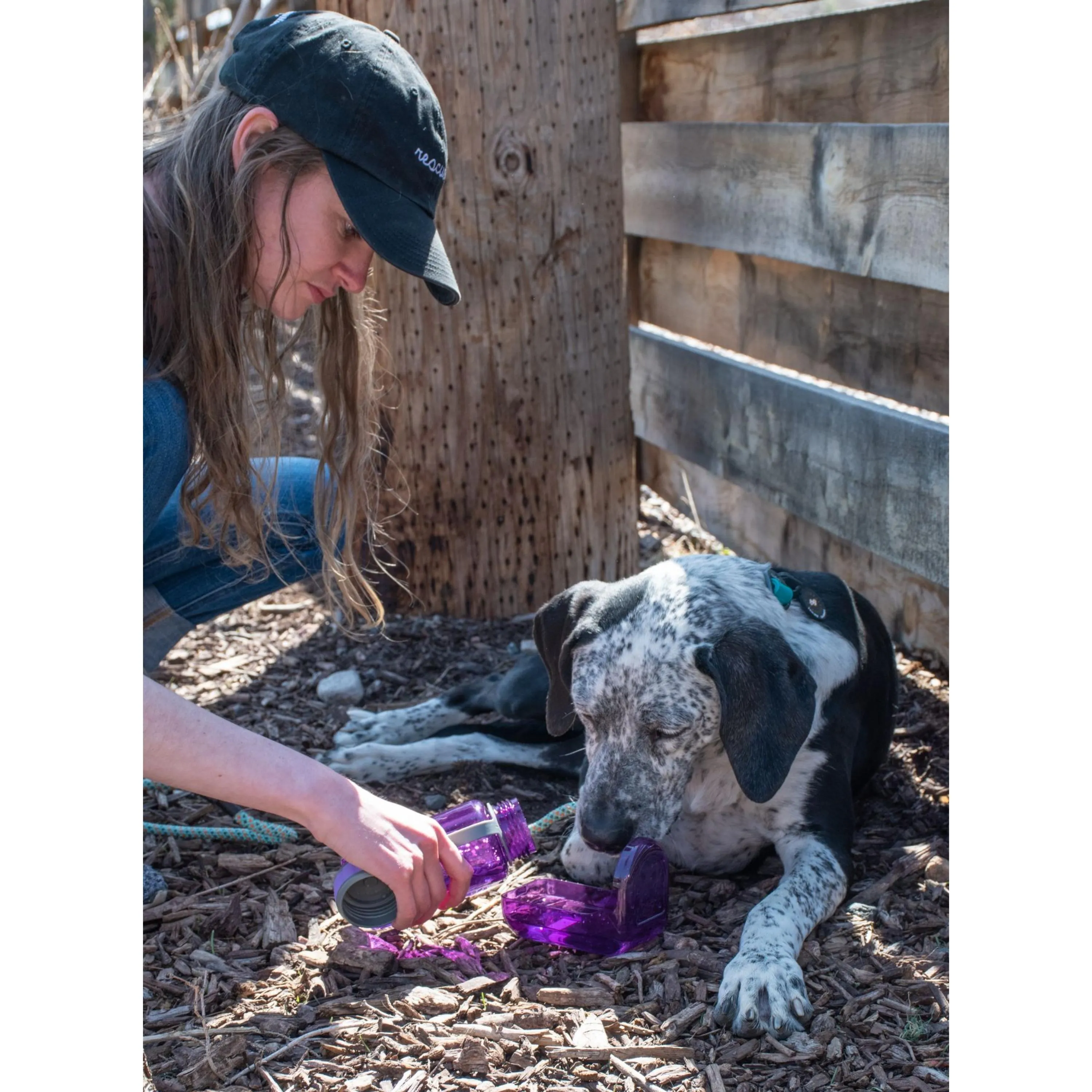 OllyBottle in Plum | Water Sharing System